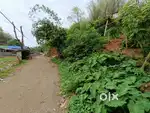 First plot