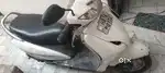 Activa white
