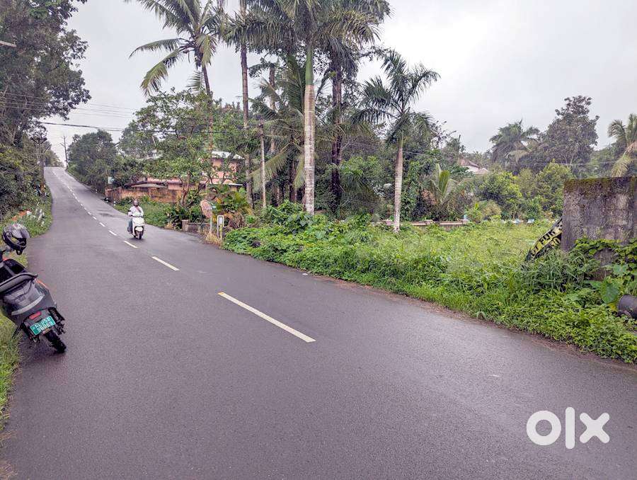 Land 15 cent old MC road Caritas-Parolickal 6.50 lakh/cent