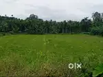 1 Acre Property for Sale – Near Kushalnagar