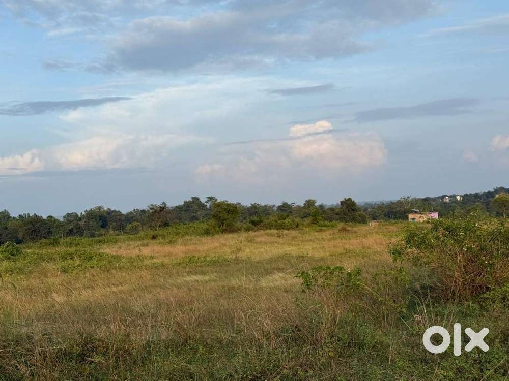 20 decml Plot Urgent sale in champua