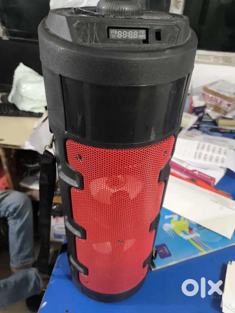 Party speaker