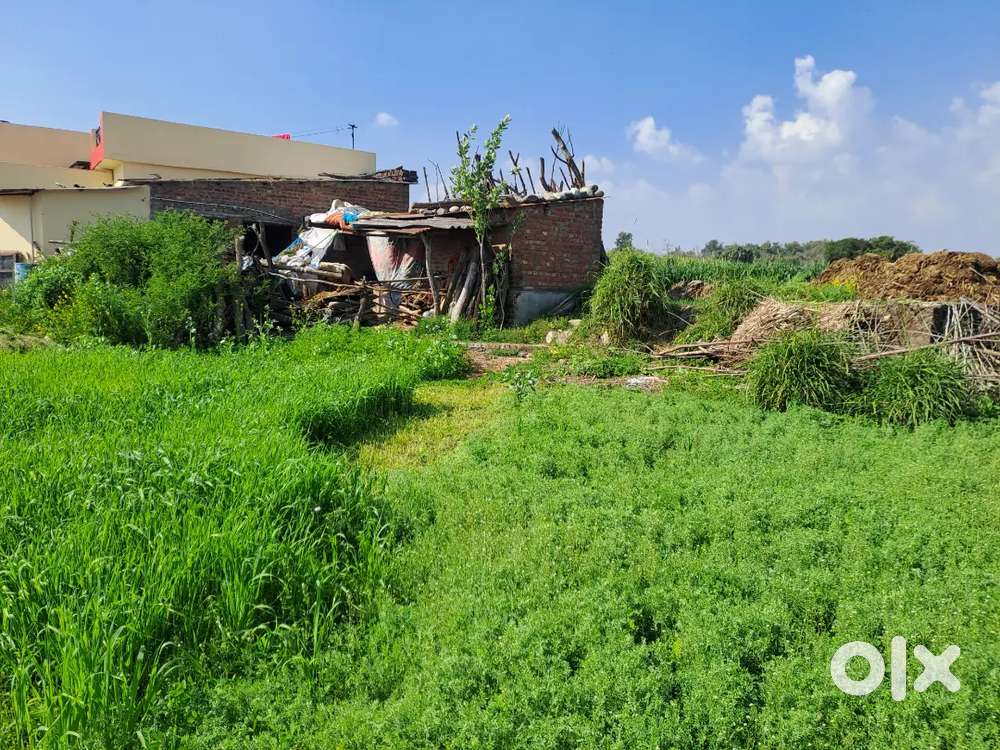 मिस्सर वाला कलां में 315 गज जमीन बिक्री हेतु उपलब्ध है।