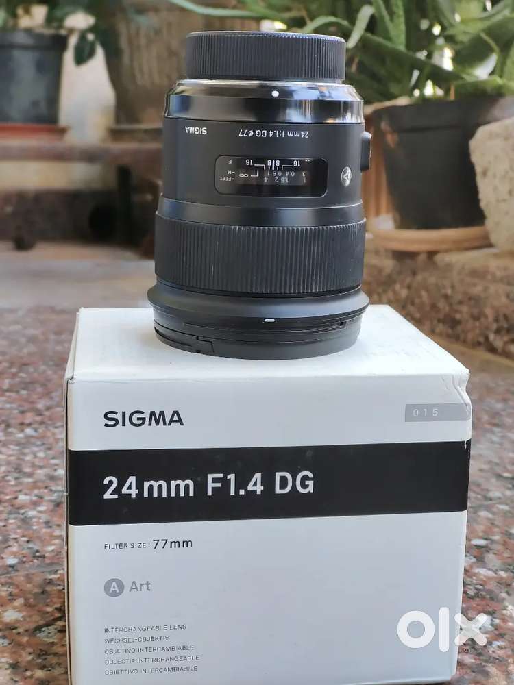 Sigma 24mm 1.4 f-mount, Nikkor 85mm 1.8 f-mount