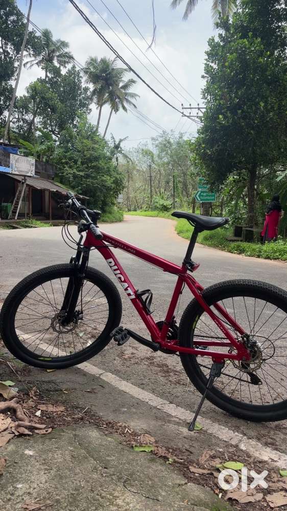 Ducati mountain bike