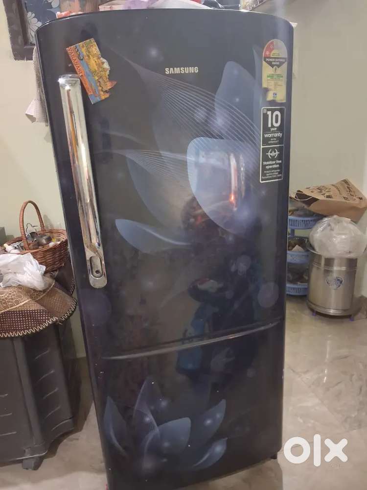 Fredige in good condition