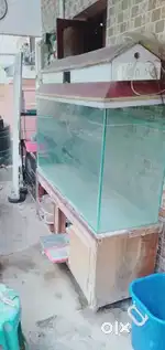 Fish tank for sales
