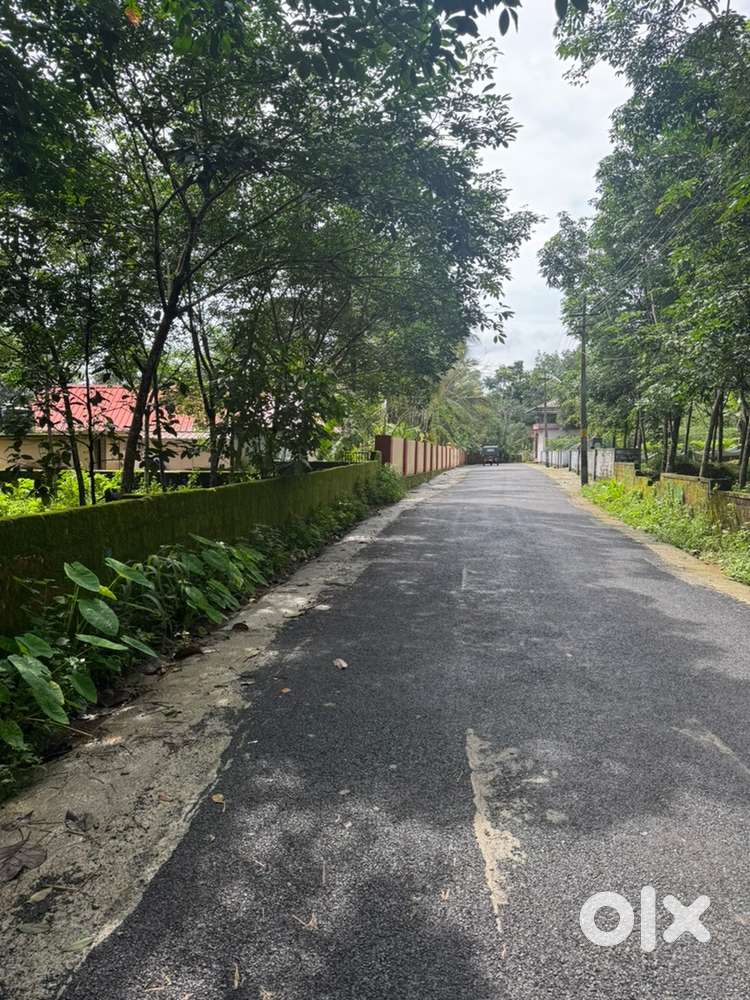 Rubber Plantation Land for Sale – Karikode, Peruva Kottayam