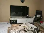 80 size of led qualed seal pack