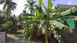Residential or Commercial Plot 14 Cent