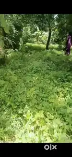 വീടിന് അനുയോജ്യമായ സ്ഥലം വില്പനക്ക്