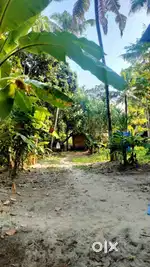 15 Cent Residential Land with House for Sale in Thrissur, Edathiruthy