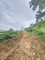 1.5 Acre land for sale at chembarky ponjassery route