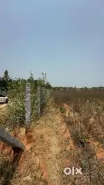 Farm Land for Sale near Nandi Hills Farm Land for Sale!  - 1 acre 27