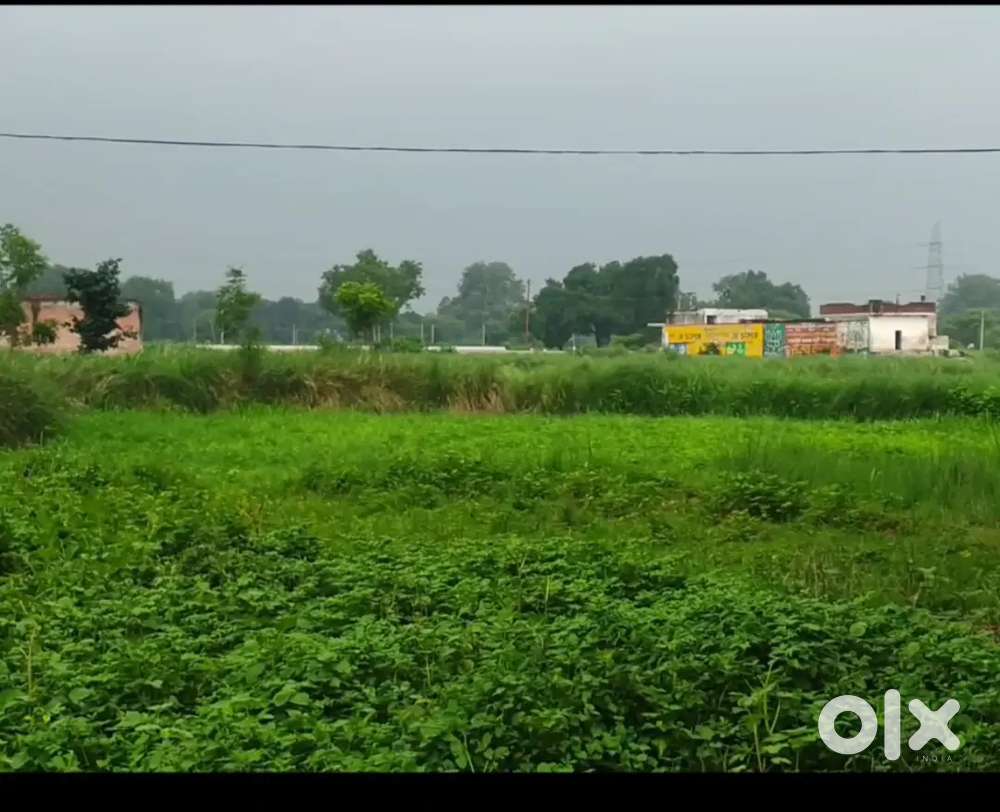 Free hold plot for sale on rewa kanpur express highway