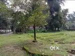 10.2 സെൻ്റ് സ്ഥലം വിൽപനക്ക്