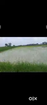 Panwara Machhli shaher main hyway se lga hua