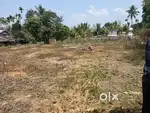 25 CENT HOUSE PLOT FOR SALE IN THONICHAL