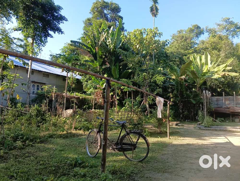 Urgently sale my property 2.4 kotha