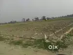 Plot available near Joka & amtalla d.h road