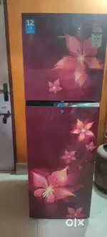 Voltas beko fridge