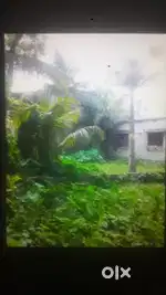 অশোকনগর আদর্শ পল্লীতে 1.5 কাটা পরিমাণের একটি জায়গা বিক্রয়