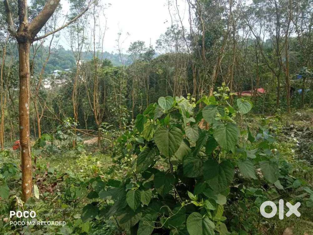 Plot for sale near Brahmapuram