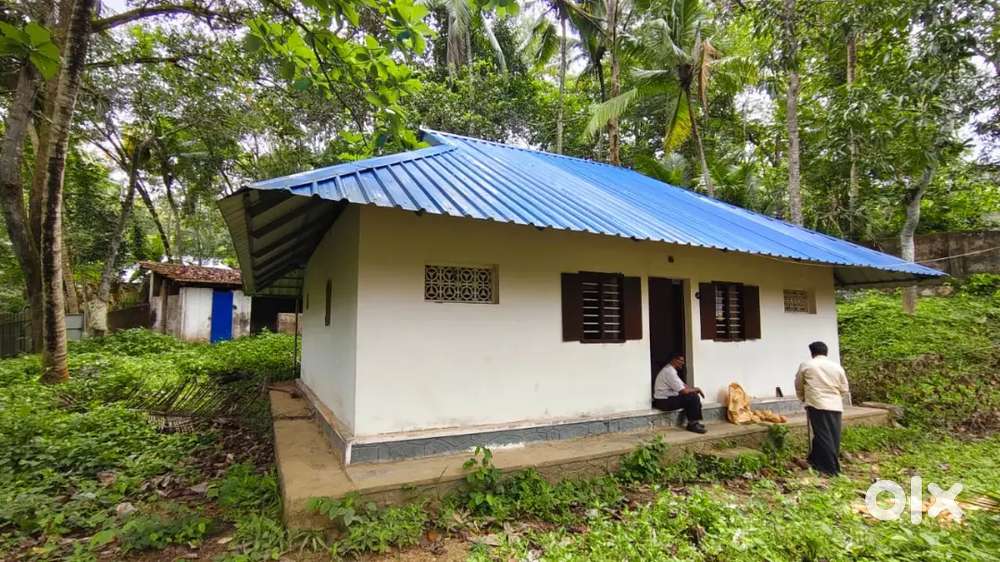 House and plot for sale