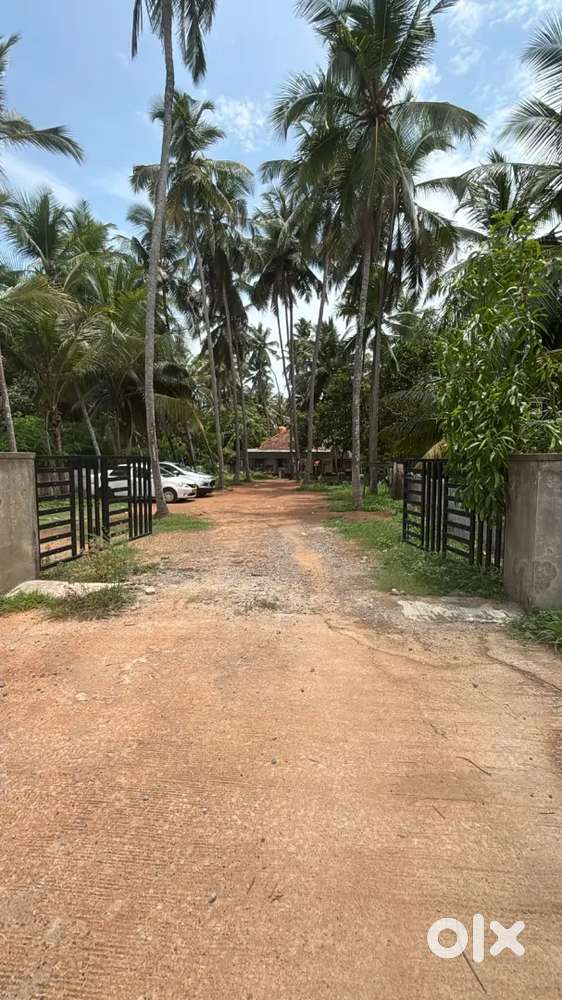 1bhk for rent