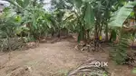 Land for sale in V V nagar.2
