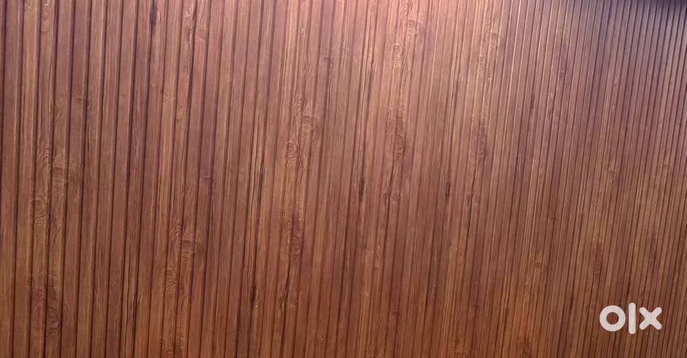 Plywood Lab training / office assistant