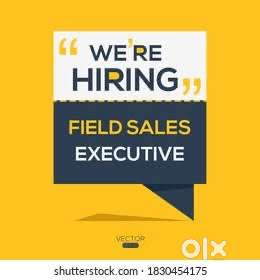 Sales executive