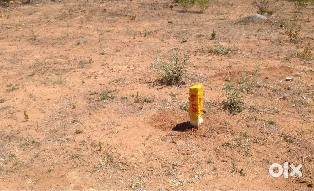 DIRECT OWNER -Residentail plot sale in Ramoji Deshmukh/Julur