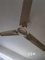 Ceiling fan