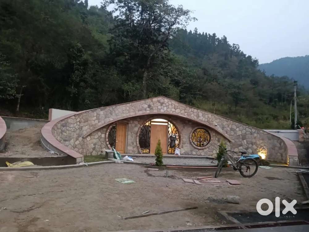 Need room partner for sharing