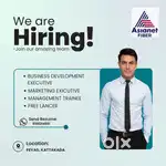 Business development executive