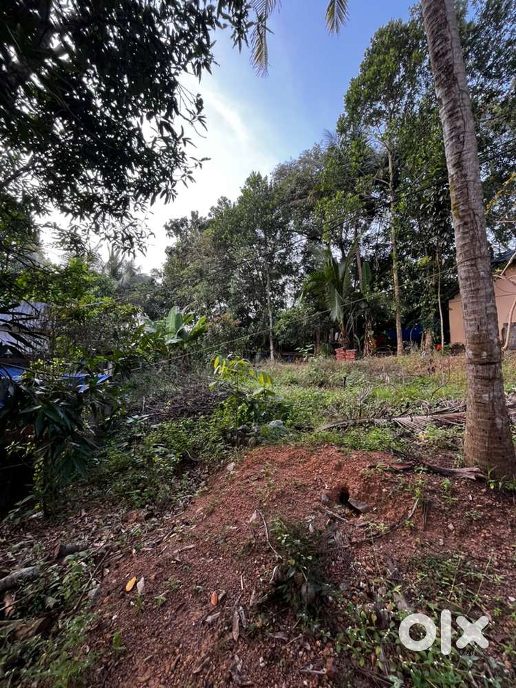 10cent property for sale 1 cent 385000