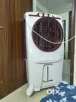 Tata voltas coller one month old