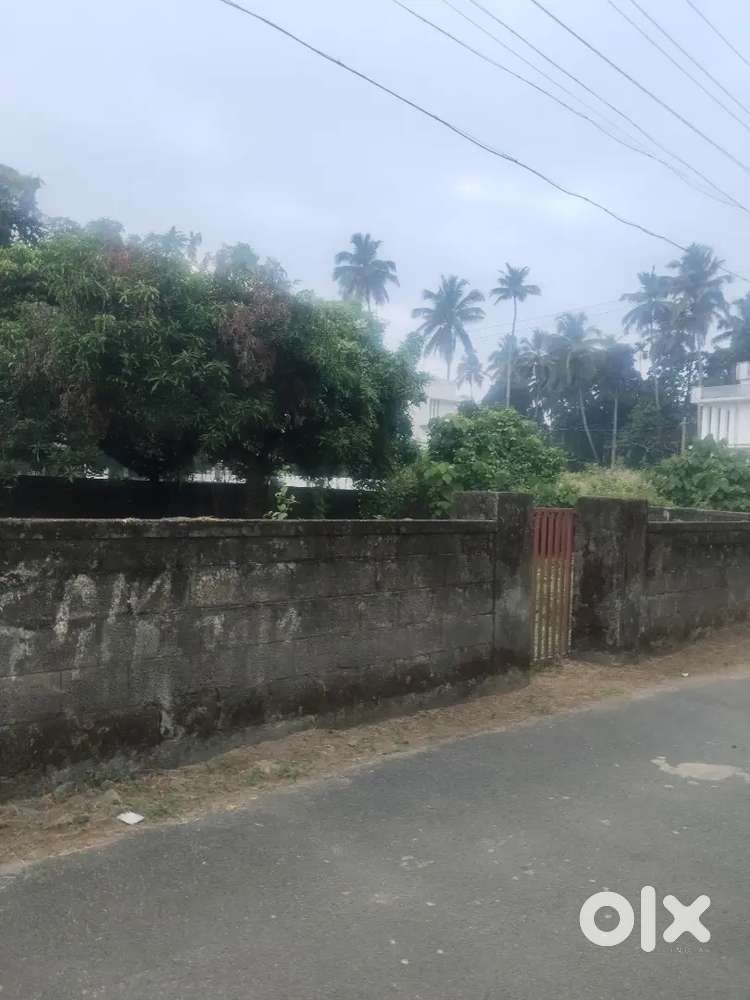 Thrissur East Fort 16 cent commercial plot for sale