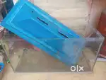 Fish Aquarium