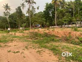 Property for sale in Chathannoor