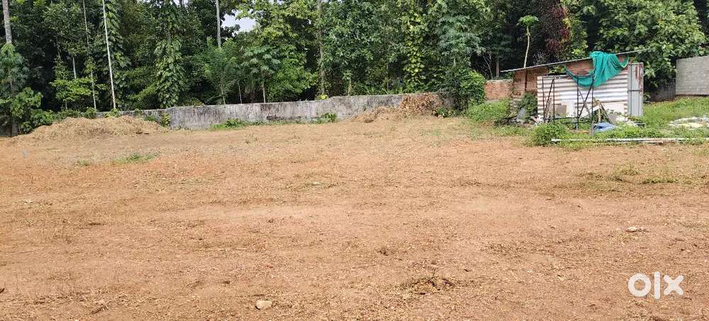 ഏറ്റുമാനൂർ കണക്കാരിൽ മെയിൻ റോഡിൽ നിന്നും 200 mtr ദൂരത്തിൽ 10  സെന്റ്