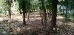 4.5 Lakhs per cent. Total 12 cent land for sale