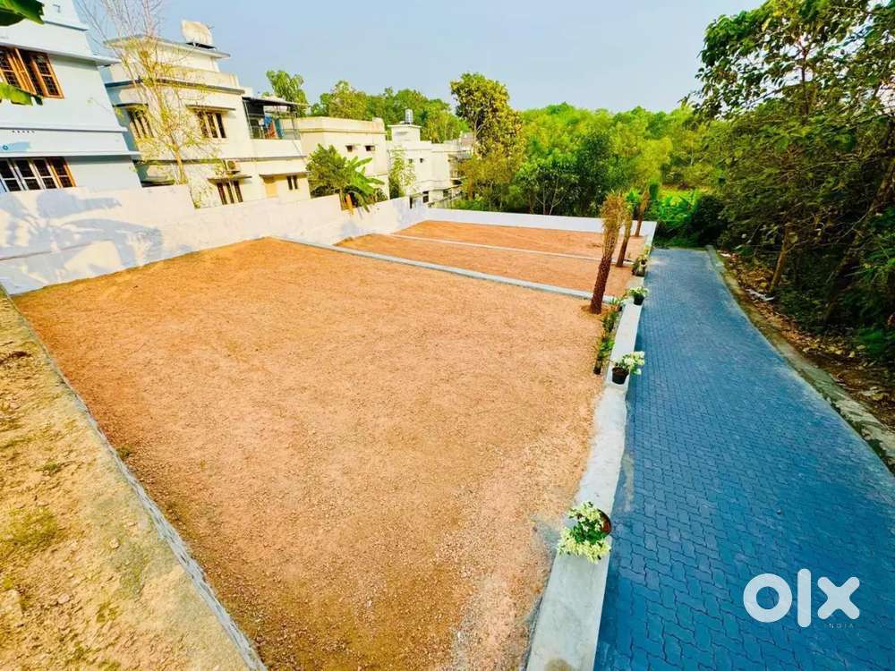 Kakkanad infopark 2km Edachira thengode road 5,8,10 cent original land