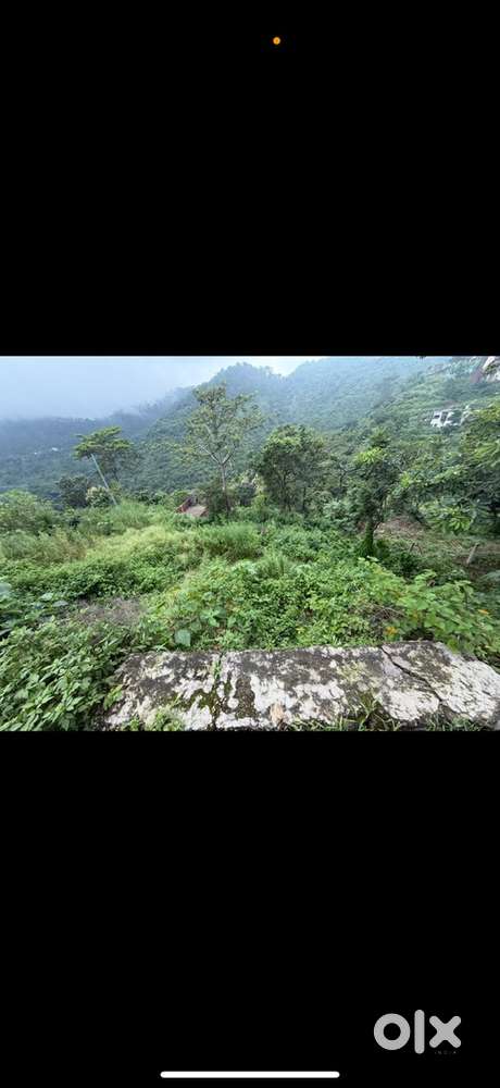 40 biswa land for sale in morni hills