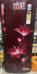 Excellent condition  working condition meh hai  4 year