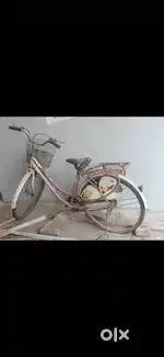 Lady bird girls cycle