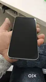 15 pro max