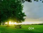 Land for sale in shogi to shimla tara devi road