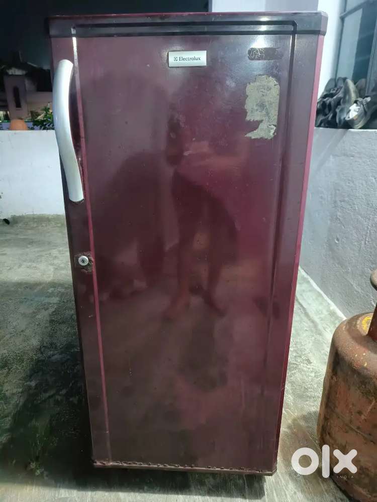 Electrolux Fridge